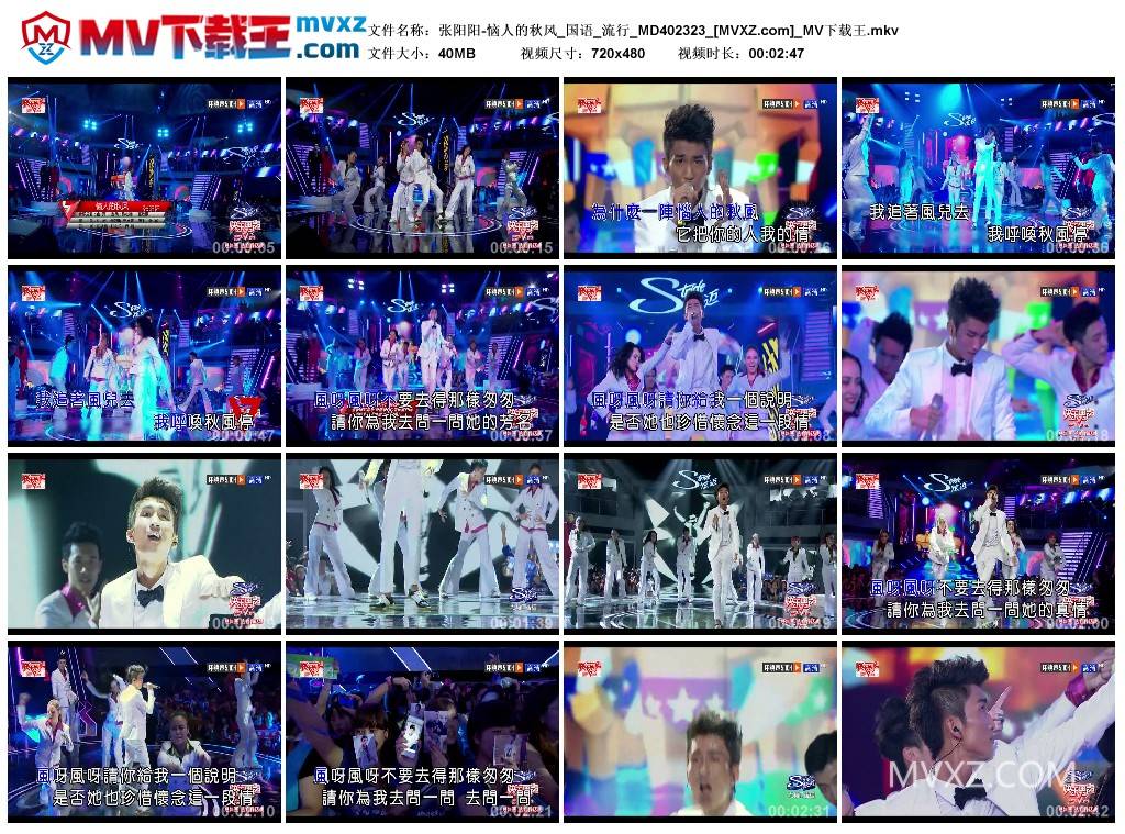 张阳阳-恼人的秋风_国语_流行_MD402323